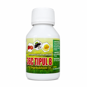 36C Tipo B 100ml