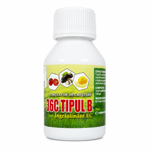 36C Tipo B 50ml