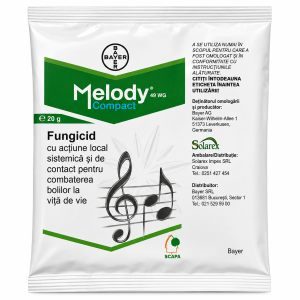 Melody Compact 49WG 20g