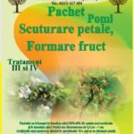 Pachet III si IV pentru 100L 40% petale scuturate+fructele au 1cm