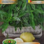 Seminte busuioc lamaie
