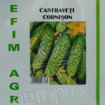 Seminte castraveti Cornichon de Paris 20g