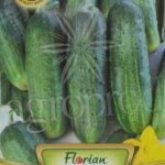 Seminte castraveti Ira F1 1,5 g Florian 128