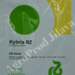 Seminte castraveti Kybria 1000 sem.