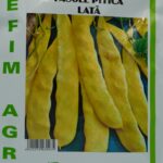 Seminte fasole pitica Supernano 200g