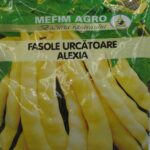 Seminte fasole urcatoare Alexia 1kg