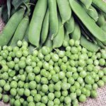 Seminte mazare 200g