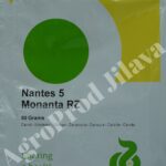 Seminte morcov Monanta 50g