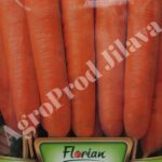 Seminte morcovi Nantes Florian 10g