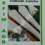 Seminte patrunjel radacina 50g