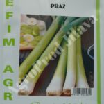 Seminte praz Bulgarian Giant 50g