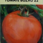 Seminte tomate Buzau 22 (rotunde)