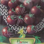 Seminte tomate chery negre 0.2g Florian 585