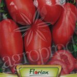 Seminte tomate Roma 1g 116 Florian