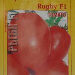 Seminte tomate Rugby F1 1000 sem
