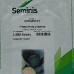 Seminte varza Bucharest 2500 sem.