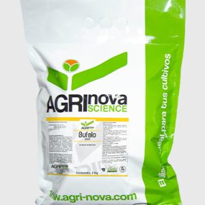 Bufalo Solid 0.5 Kg