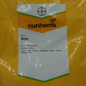 Seminte ridichi Sora 100g