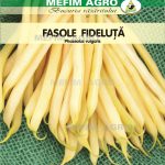 Seminte fasole fideluta galbena Bergold 200 g
